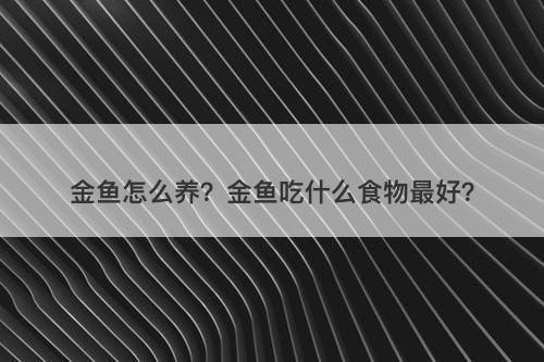 金鱼怎么养？金鱼吃什么食物最好？