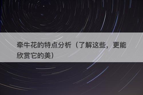 牵牛花的特点分析（了解这些，更能欣赏它的美）