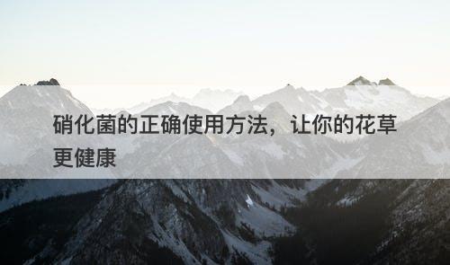 硝化菌的正确使用方法，让你的花草更健康