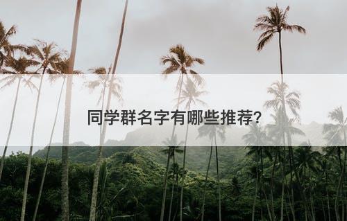 同学群名字有哪些推荐？