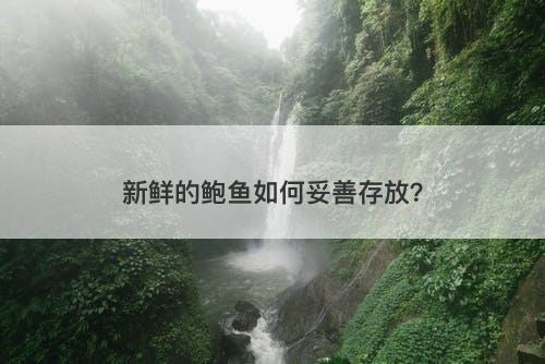 新鲜的鲍鱼如何妥善存放？
