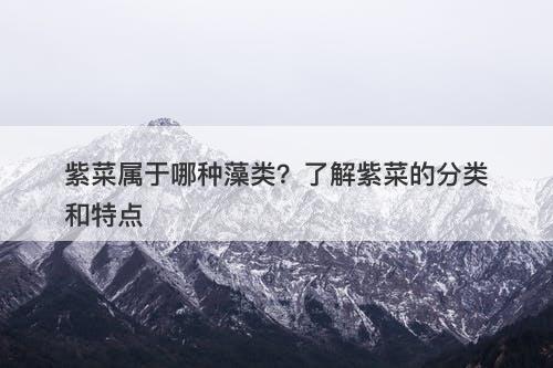 紫菜属于哪种藻类？了解紫菜的分类和特点