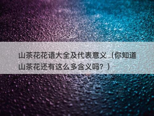 山茶花花语大全及代表意义（你知道山茶花还有这么多含义吗？）