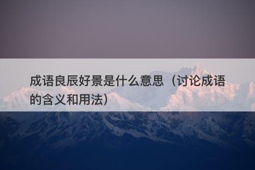 成语良辰好景是什么意思（讨论成语的含义和用法）