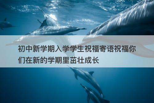 初中新学期入学学生祝福寄语祝福你们在新的学期里茁壮成长