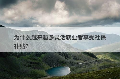 为什么越来越多灵活就业者享受社保补贴？
