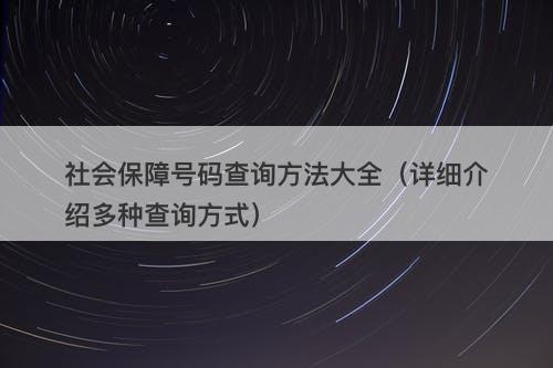 社会保障号码查询方法大全（详细介绍多种查询方式）