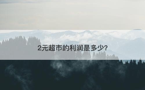 2元超市的利润是多少？
