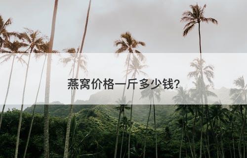燕窝价格一斤多少钱？