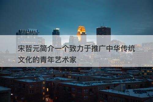 宋哲元简介一个致力于推广中华传统文化的青年艺术家