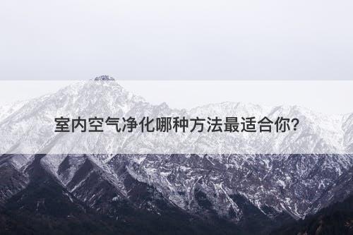 室内空气净化哪种方法最适合你？