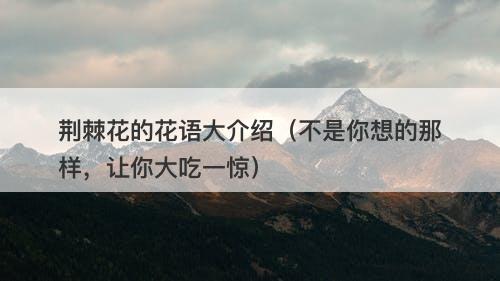 荆棘花的花语大介绍（不是你想的那样，让你大吃一惊）