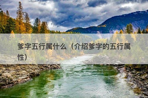 爹字五行属什么（介绍爹字的五行属性）