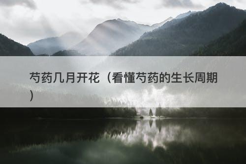 芍药几月开花（看懂芍药的生长周期）