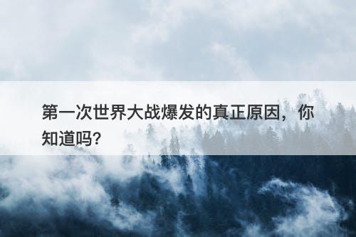 第一次世界大战爆发的真正原因，你知道吗？