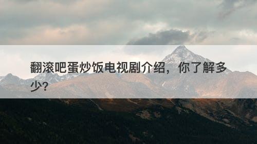 翻滚吧蛋炒饭电视剧介绍,你了解多少?
