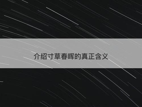 介绍寸草春晖的真正含义