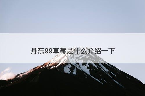 丹东99草莓是什么介绍一下