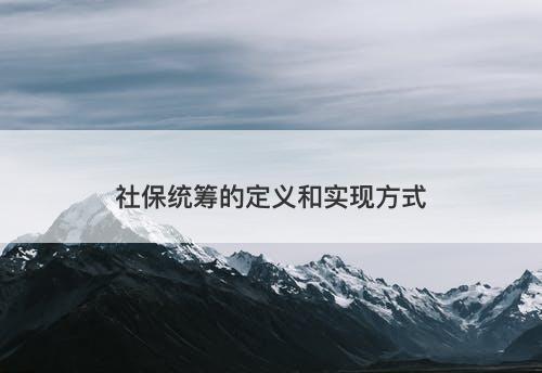 社保统筹的定义和实现方式