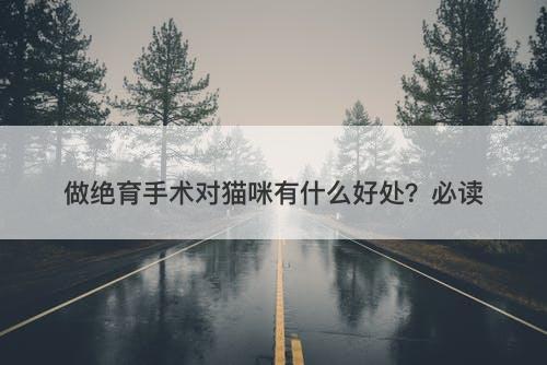 做绝育手术对猫咪有什么好处？必读