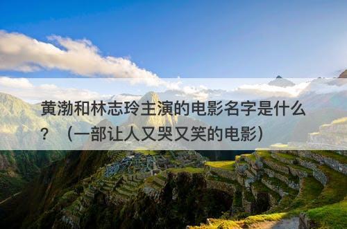 黄渤和林志玲主演的电影名字是什么?(一部让人又哭又笑的电影)