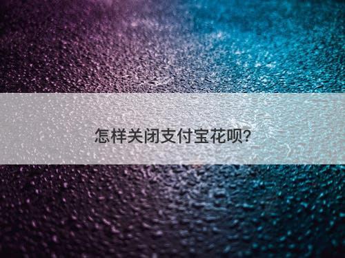 怎样关闭支付宝花呗?