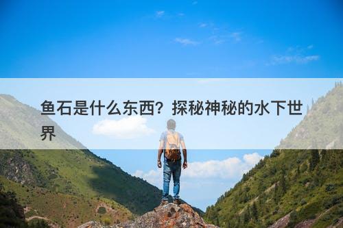 鱼石是什么东西?探秘神秘的水下世界