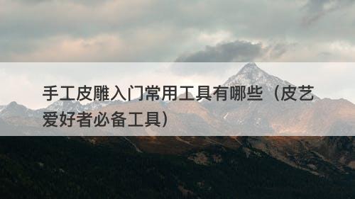 手工皮雕入门常用工具有哪些（皮艺爱好者必备工具）