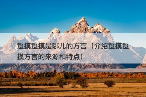 踅摸踅摸是哪儿的方言（介绍踅摸踅摸方言的来源和特点）-图1
