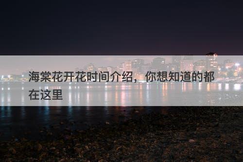 海棠花开花时间介绍,你想知道的都在这里