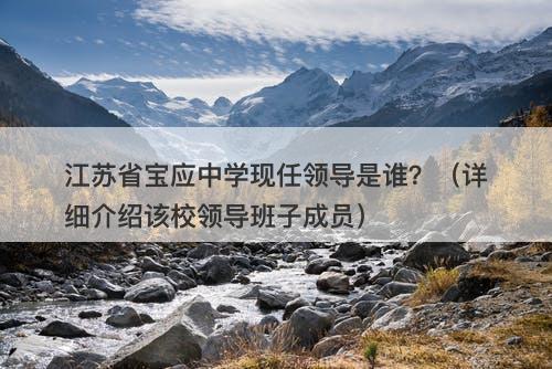 江苏省宝应中学现任领导是谁？（详细介绍该校领导班子成员）-图1
