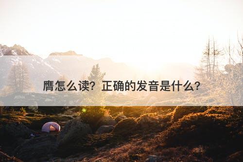 膺怎么读?正确的发音是什么?-图1 膺怎么读?正确的发音是什么?-图1