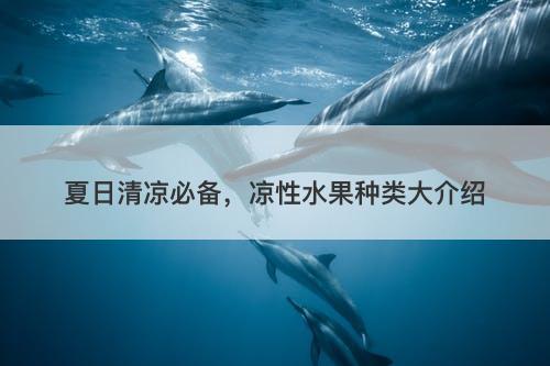 夏日清凉必备,凉性水果种类大介绍-图1 夏日清凉必备,凉性水果种类大介绍-图1