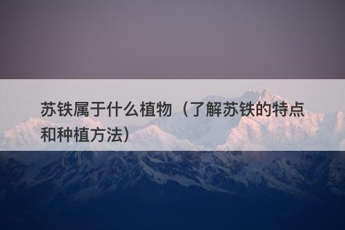 苏铁属于什么植物（了解苏铁的特点和种植方法）-图1