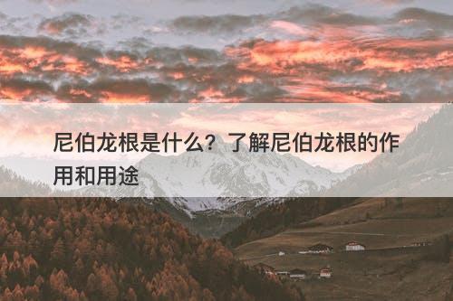 尼伯龙根是什么?了解尼伯龙根的作用和用途