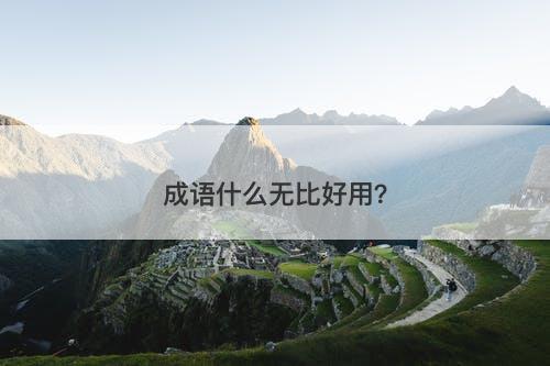 成语什么无比好用？