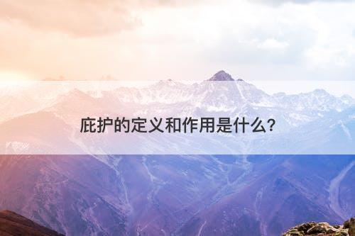 庇护的定义和作用是什么？