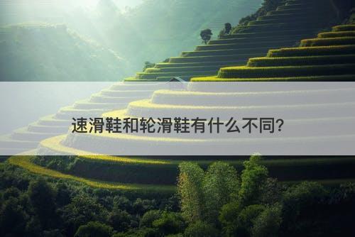 速滑鞋和轮滑鞋有什么不同？