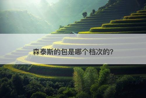 森泰斯的包是哪个档次的？