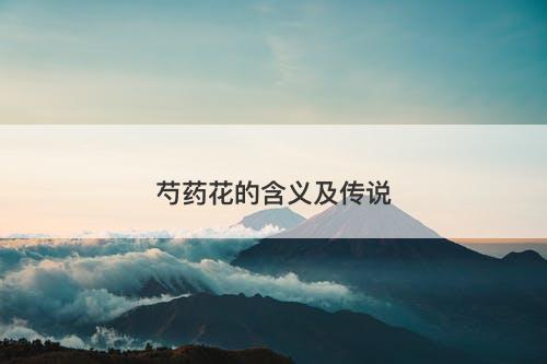 芍药花的含义及传说