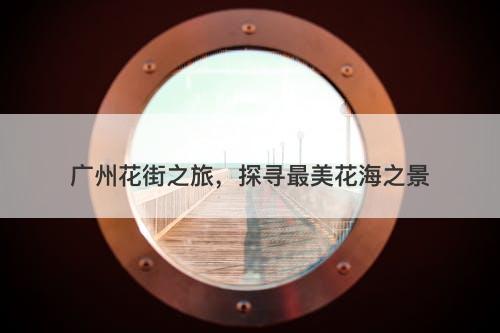 广州花街之旅，探寻最美花海之景