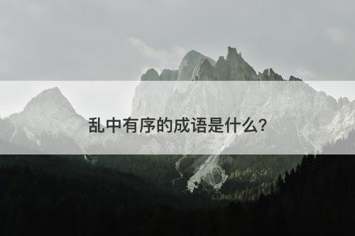 乱中有序的成语是什么?