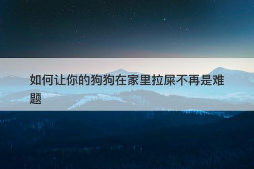 如何让你的狗狗在家里拉屎不再是难题