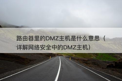 路由器里的DMZ主机是什么意思（详解网络安全中的DMZ主机）