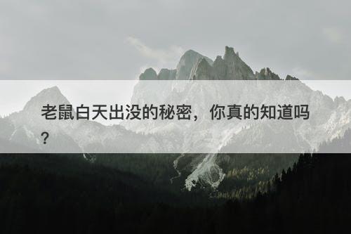 老鼠白天出没的秘密,你真的知道吗?