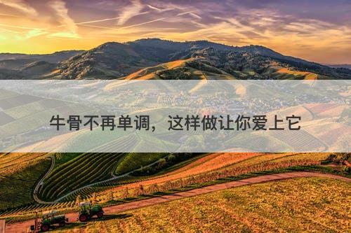 牛骨不再单调，这样做让你爱上它