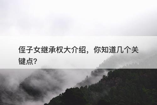 侄子女继承权大介绍,你知道几个关键点?