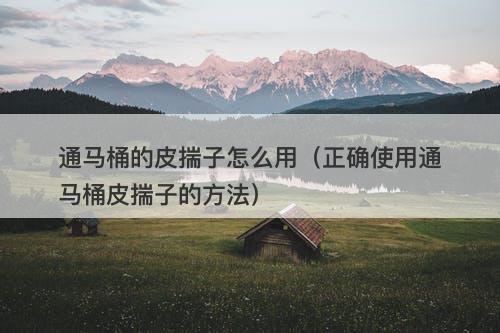 通马桶的皮揣子怎么用(正确使用通马桶皮揣子的方法)
