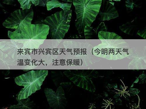 来宾市兴宾区天气预报（今明两天气温变化大，注意保暖）-图1