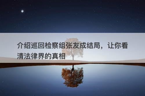 介绍巡回检察组张友成结局,让你看清法律界的真相